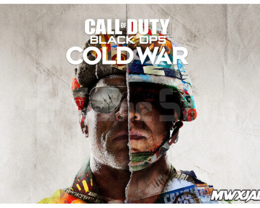 Call of Duty Black Ops Cold War + Garanti