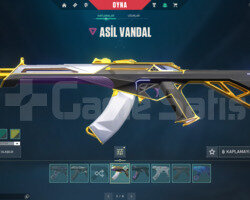 8 EFSANE VANDAL VE YAĞMACI OPERATOR TR HESAP