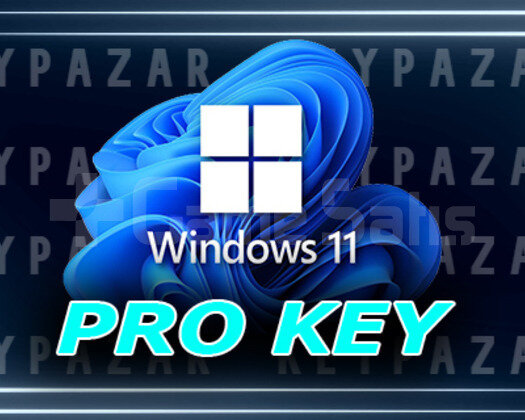 WİNDOWS 11 PRO KEY & WİNDOWS 10 PRO HEDİYELİ