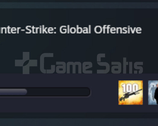 supreme csgo mainlemelik hesap