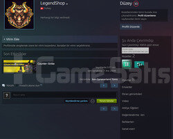 18 YILLIK STEAM 10 LEVEL STEAM 5000+GÜN OFF