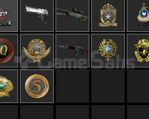 9 ROZET GLOBAL FACEİT 8 LEVEL MAİNLİK HESAP!!