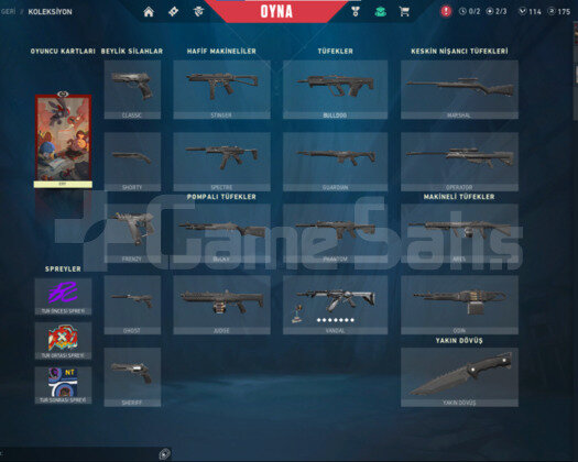 yağmacı vandallı smurflemelik hesap