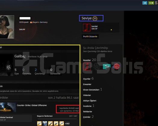 19.000 SAAT GLOBAL l 35LVL STEAM l TÜRK HESABI!