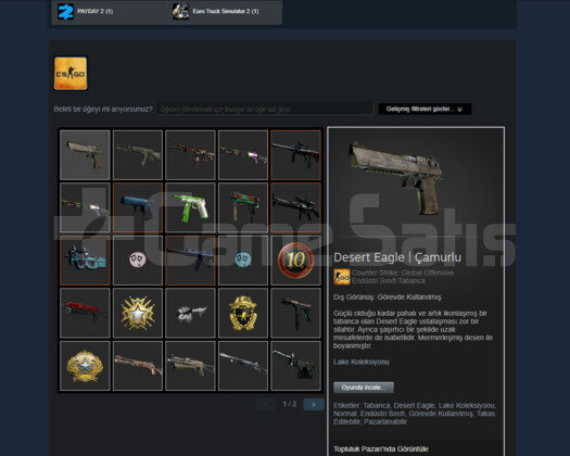 10 YILLIK 69 LEVEL STEAM 1161 WİN BOL MADALYALI