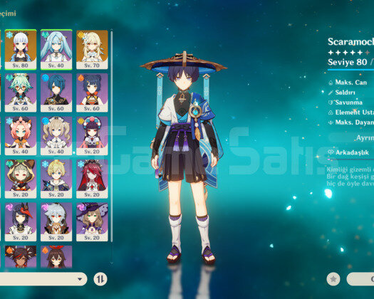 7x5 Scara+ Silah+ Ayaka Yelan Rate up Welkin