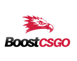 kişiye özel boost ilanı