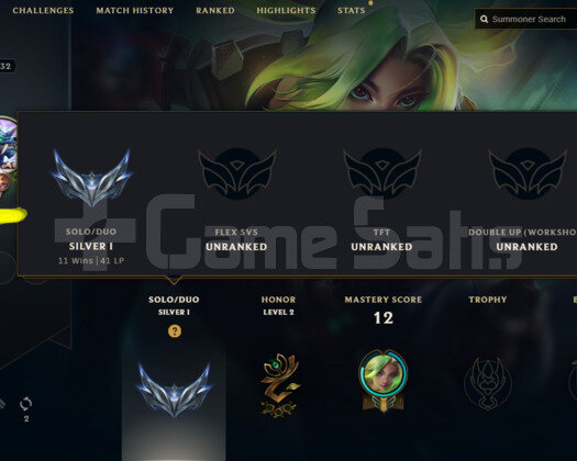 EUW SİLVER 1 35K MAVİ ÖZLÜ MAİL ONAYSIZ HESAP