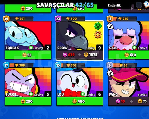 42 Karakterli Crowlu 18 K hesap