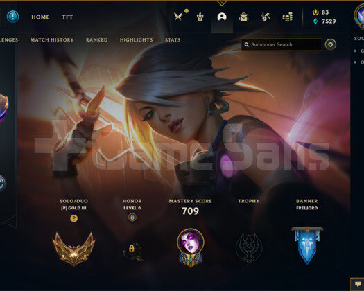 387 KOSTÜMLÜ 621 LEVEL EFSANE LOL HESAP