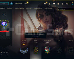 SİLVER 2 +40 LP GAİN