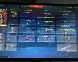 47 lvl gümüş 2 hesap çoğu silahta skin var
