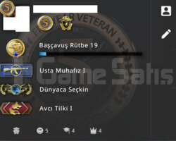 Global Csgo Hesabı Faceit Kayıtsız