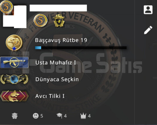 Global Csgo Hesabı Faceit Kayıtsız