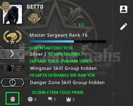 CSGO PRIME RANK ACIK 289 SAAT YESIL FAKTOR HESAP