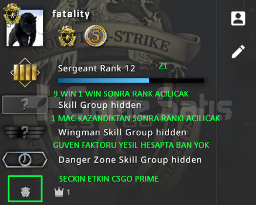 2 MADALYA | FULL PRIME CSGO | GUVEN FAKTORU YESIL