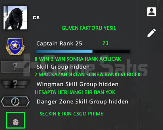 CSGO PRIME GUVEN FAKTORU YESIL 8 WIN