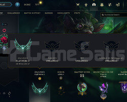WEST PLAT 2 28LP DİA MMR AD ACC 59 WR