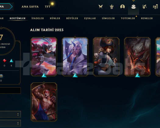ÇELİK İNTİKAM MİSS FORTUNE LU SİLVER 3 ACC