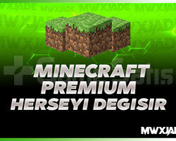 Minecraft Premium Tüm Bilgileri Değişir