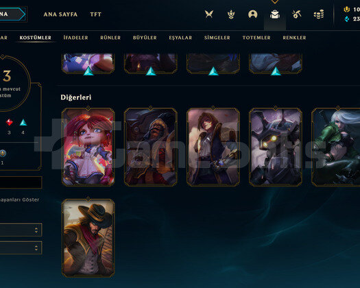 TR 85 LEVEL - 57 HERO 13 KOSTÜM LOL HESAP