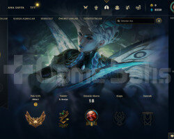 TR GOLD 1 70 WR DİA ELO SÜPER SMURF +40 LP