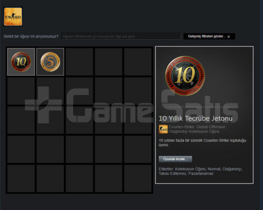 10+5 YIL JETON CSGO +18 YIL STEAM