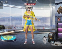 UMP 4 3 GELİŞMİŞ DİKENLİ ROCK YILDIZI ANANAS