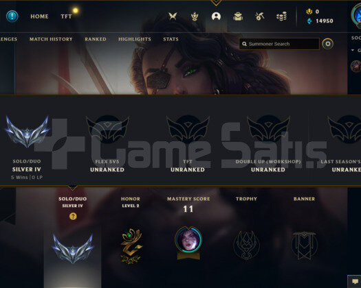 WEST S4 SMURF ACC 40 ŞAMPİYON 15K MAVİ ÖZ