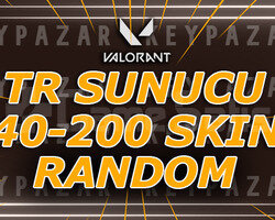 TR SUNUCU 40-200 SKİN EJDER ÇIKABİLİR HEMEN TESLİM