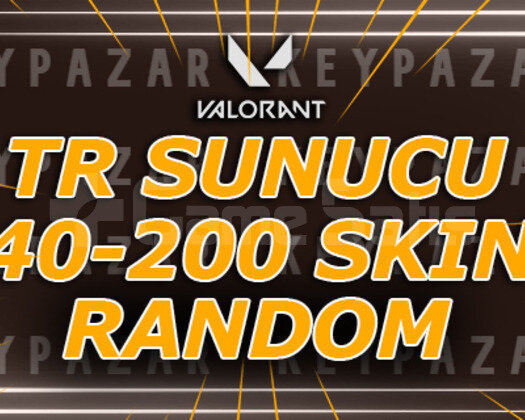 TR SUNUCU 40-200 SKİN EJDER ÇIKABİLİR HEMEN TESLİM