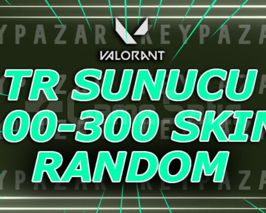 TR SUNUCU 100-300 SKİN FULL ENVANTER HEMEN TESLİM