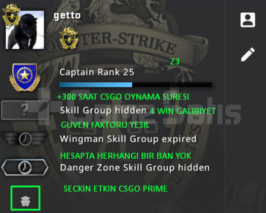 CSGO PRIME SADAKAT ROZETLI GUVEN FAKTORU YESIL