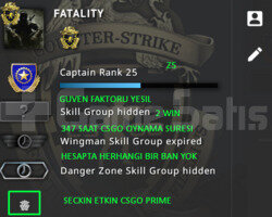CSGO PRIME SADAKAT ROZETLI GUVEN FAKTORU YESIL