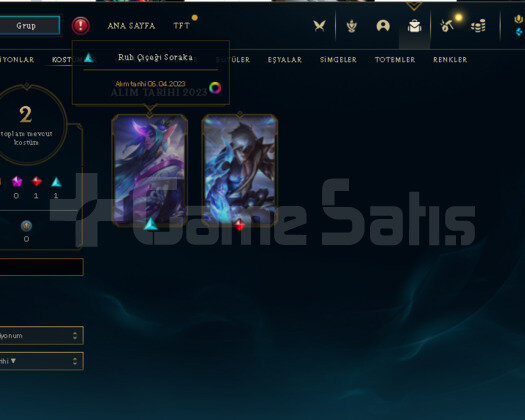 PLAT 2 +30 LP GAİN