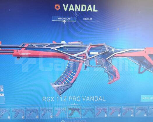 GAİA VANDALLI VE RGX VANDALLı GOLD 1 ACC