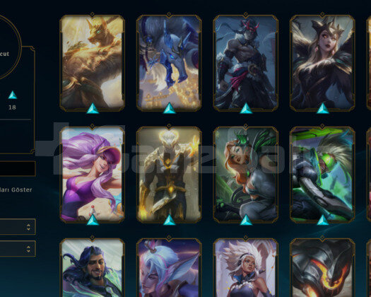 32 LVL 20 KOSTUM 37 HERO EBEDI KOSTUMLU HESAP