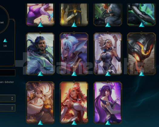 32 LVL 20 KOSTUM 37 HERO EBEDI KOSTUMLU HESAP
