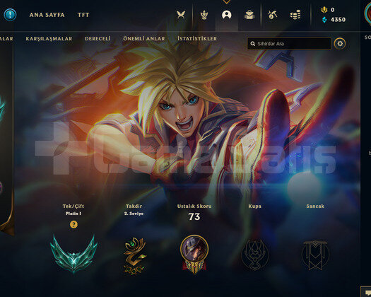 TR Plat 1 | 8 Kostüm - 47 Hero | LoL Hesap