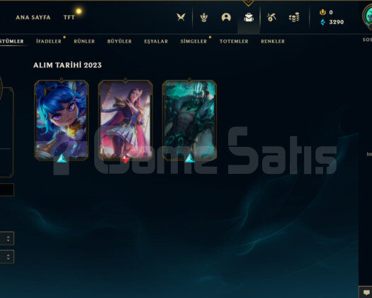 TR GOLD 4 40 LP 63 WR YÜKSEK ELO SMURF ACC