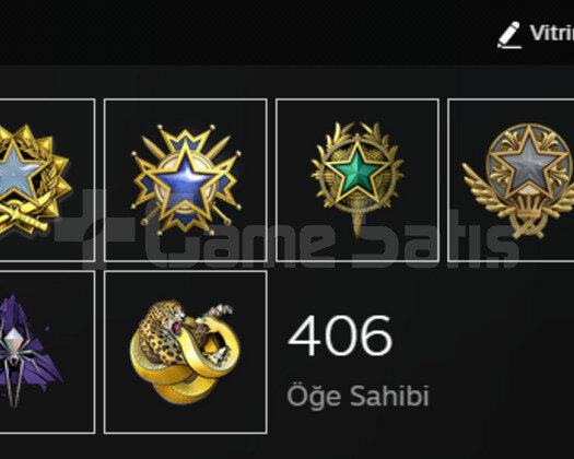 12 MADALYALI FACEİT KAYITSIZ 5K CSGO SAATİ