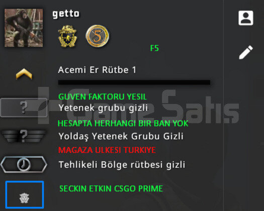 2 MADALYA | PRIME CSGO | MAGAZA TR YESIL FAKTOR