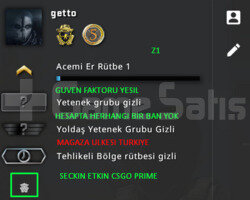 2 MADALYA | PRIME CSGO | MAGAZA TR YESIL FAKTOR