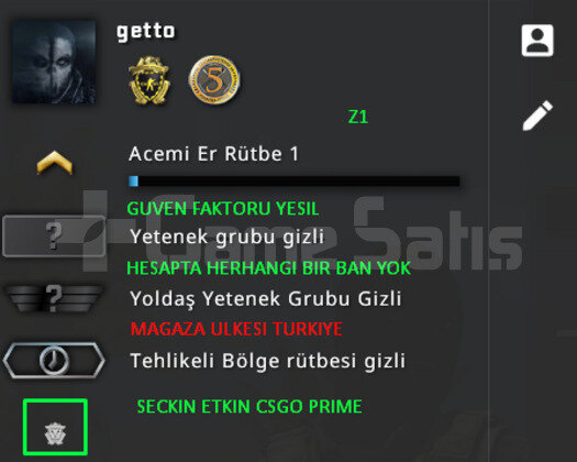 2 MADALYA | PRIME CSGO | MAGAZA TR YESIL FAKTOR