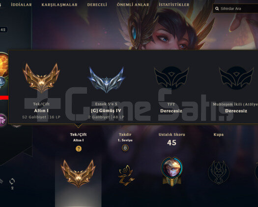 TR GOLD 1 5 KOSTUM HESAP
