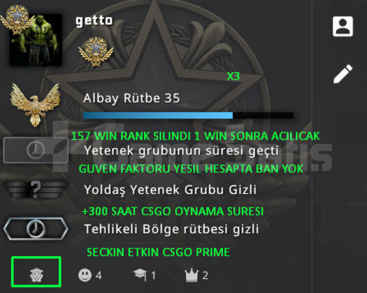 CSGO PRIME 365 SAAT RANK ACIK YESIL FAKTORU YESIL