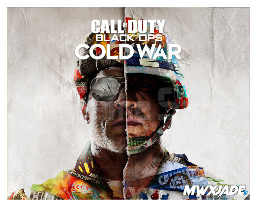 Call of Duty Black Ops Cold War + Garanti