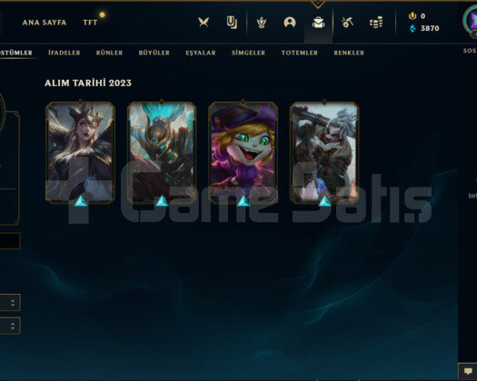 TR PLAT 4 47LP 39 ŞAMPİYON 4 KOSTÜM