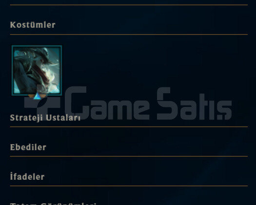 TR 9 MAÇ ATILDI PLAT 4 30 LP HESAP