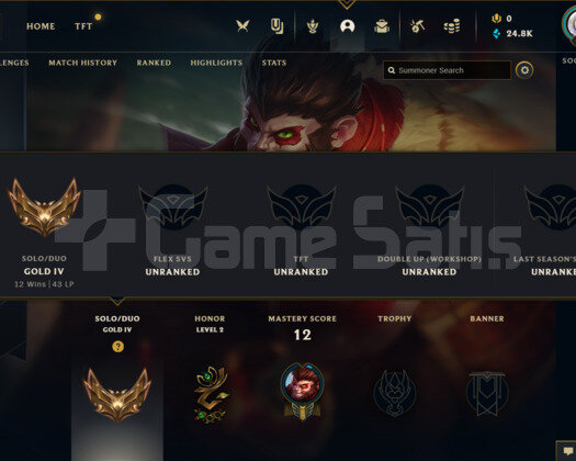 WEST GOLD 4 43 LP 63WR I 25 CHAMP 25B MAVİ ÖZ